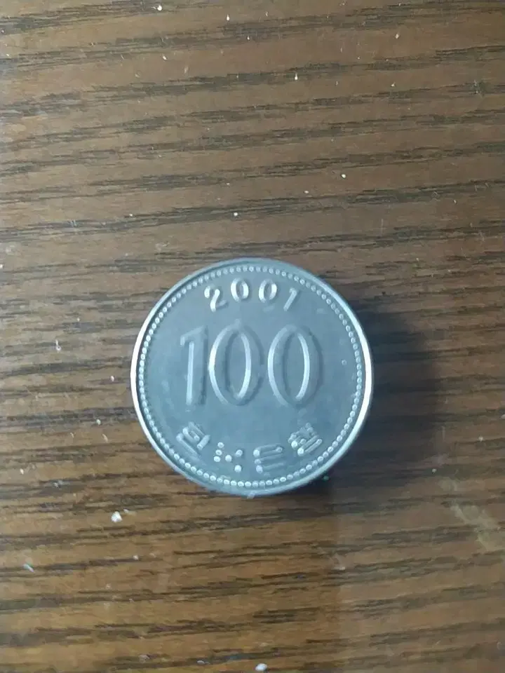 2001년 100원 동전